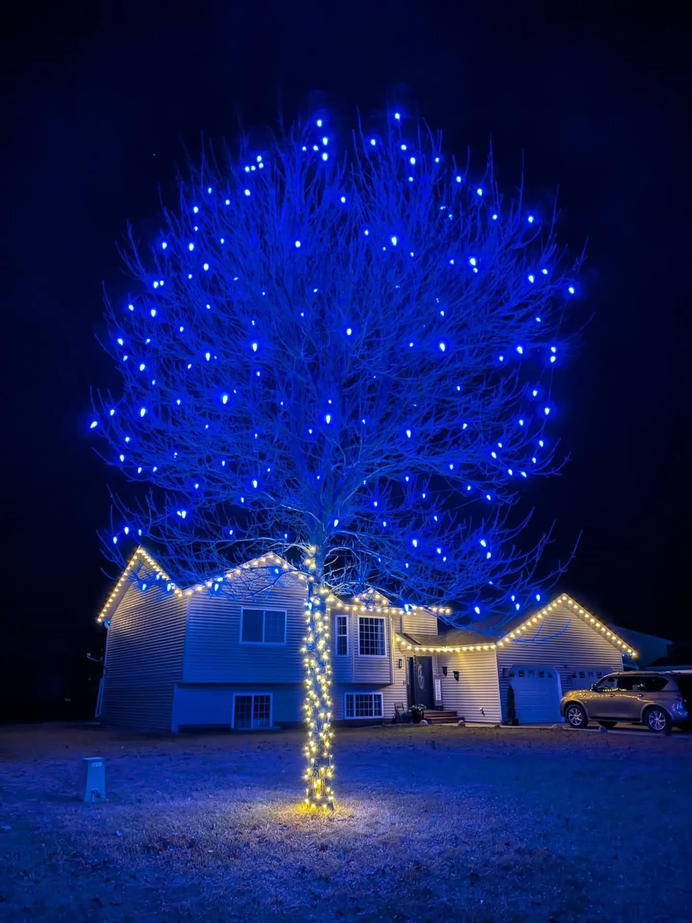 Tall yard tree wrapped in blue lights above a Perham-area home outlined in warm white